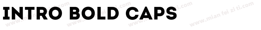 Intro Bold Caps字体转换